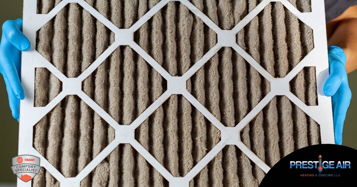 How Air Filters Alleviate Allergy Symptoms